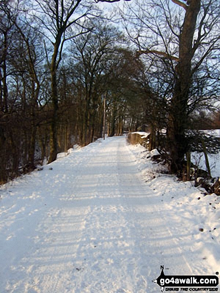 Walk d123 Mam Tor via Cavedale from Castleton - Snowy lane north of Castleon