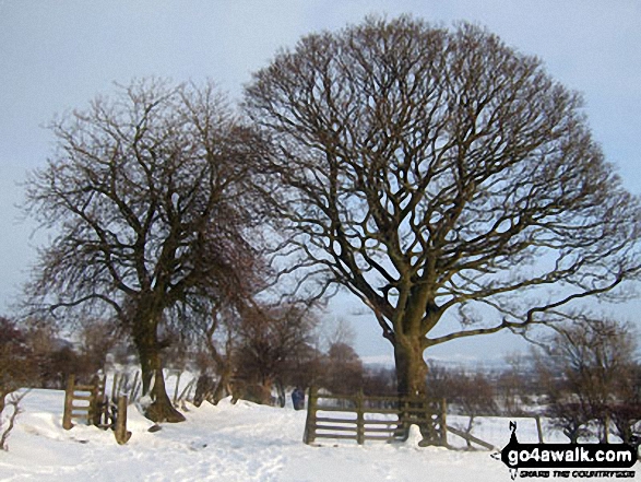 Snowy fields near Spring House Farm between Castleton and Hope 