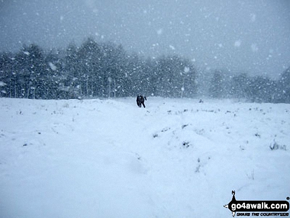 Walk d271 Winhill Pike (Win Hill) from Yorkshire Bridge - Heavy snow on the descent down Winhill Pike (Win Hill)