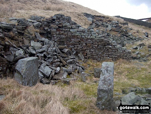 Ruin on Salter's Brook Moss 