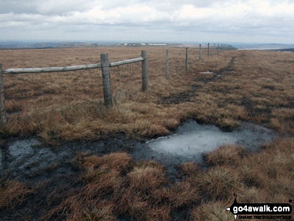 Walk sy125 Dead Edge End, Britland Edge Hill and Snailsden from Winscar Reservoir, Dunford Bridge - Britland Edge Hill summit