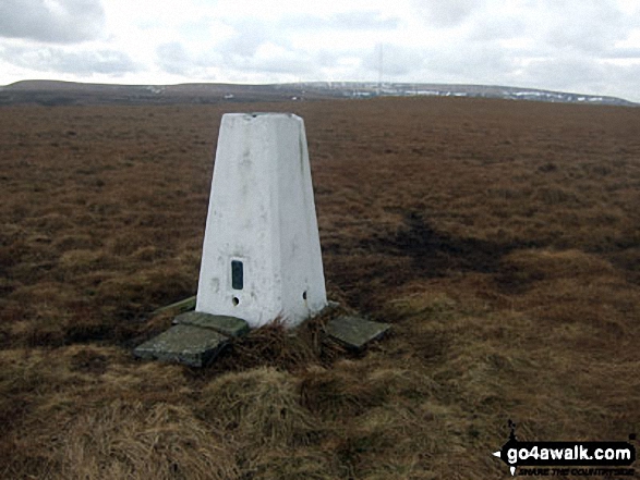 Walk sy106 Snailsden from Winscar Reservoir, Dunford Bridge - Snailsden summit trig point