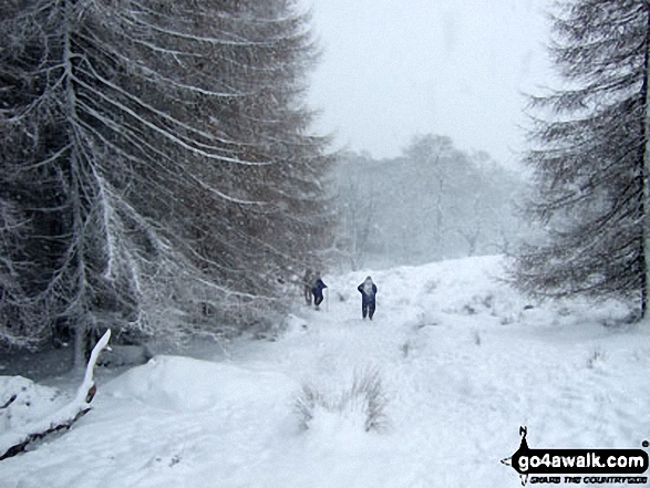 Descending Winhill Pike (Win Hill) towards Yorkshire Bridge in heavy snow 