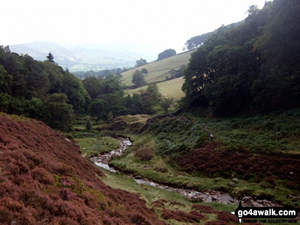 Walk d240 Kinder Downfall and Kinder Scout from Edale - Grinds Brook