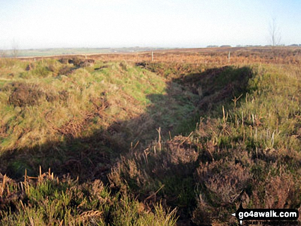 Walk d181 Hob Hurst's House and Beeley Moor from Hell Bank Plantation, Beeley - Hob Hurst's House on Beeley Moor