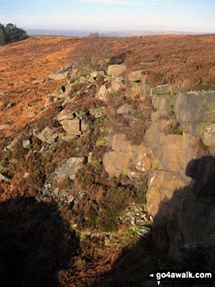 Walk d181 Hob Hurst's House and Beeley Moor from Hell Bank Plantation, Beeley - Harland Edge on Beeley Moor