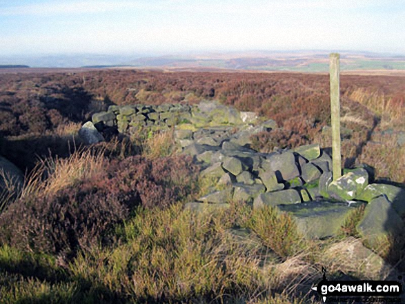 Walk d181 Hob Hurst's House and Beeley Moor from Hell Bank Plantation, Beeley - Ruin on Beeley Moor