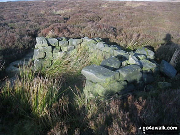 Walk d125 Hob Hurst's House and Beeley Moor from Beeley - Shooting Butt on the summit of Beeley Moor