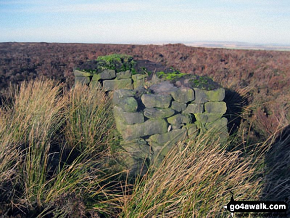 Walk d181 Hob Hurst's House and Beeley Moor from Hell Bank Plantation, Beeley - Shooting Butt on Beeley Moor