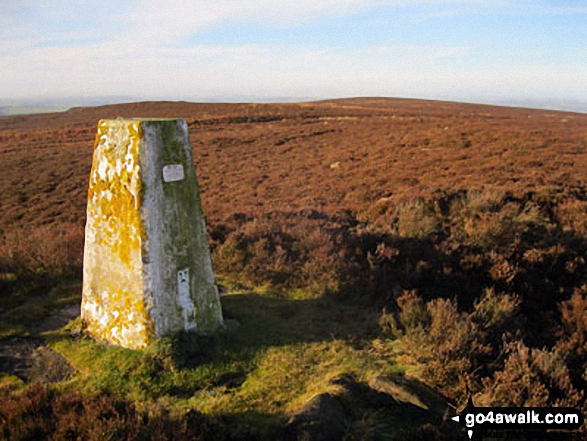 Walk d125 Hob Hurst's House and Beeley Moor from Beeley - Trig Point on Beeley Moor (South East Top)