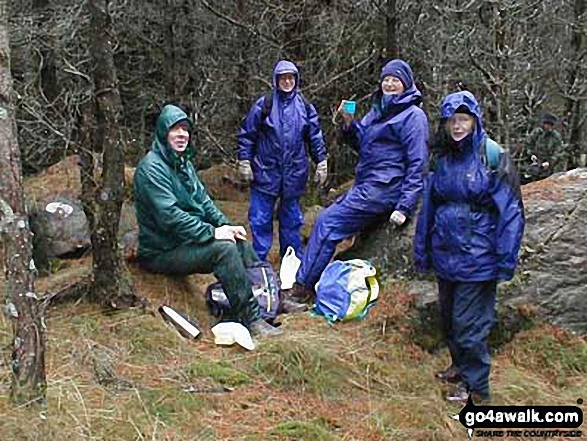 Wet winter lunch break - the 'prime time' group on a Glendoll Forest Walk (Glen Doll) 