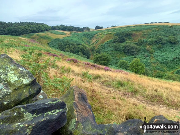 Walk d107 Abney Clough, Eyam Moor and Sir William Hill from Bretton - View from Sir William Hill