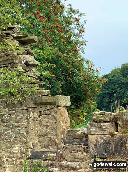 Walk d133 Sir William Hill, Abney and Bretton from Eyam - On Sir William Hill