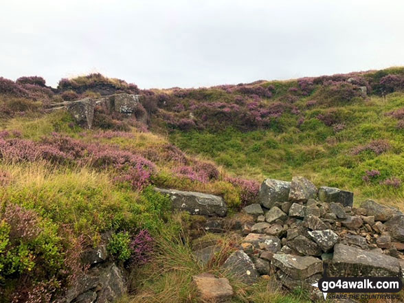 Walk d275 Foolow, Bretton Clough and Sir William Hill from Eyam - On Sir William Hill