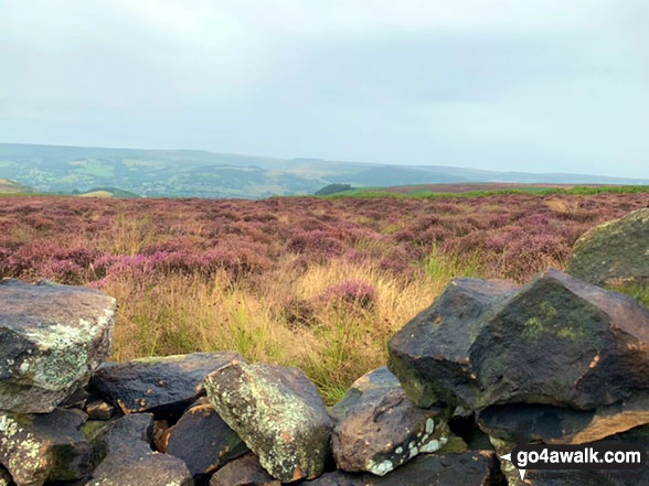 Walk d275 Foolow, Bretton Clough and Sir William Hill from Eyam - View from Sir William Hill