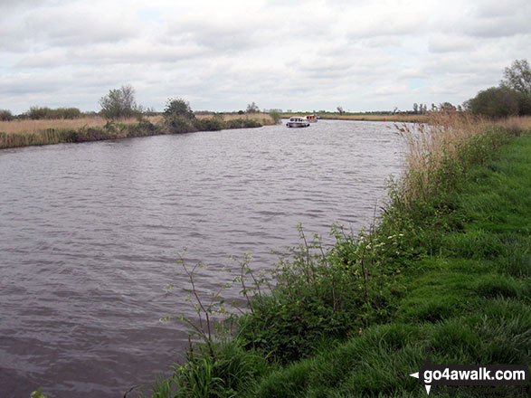 Walk nf117 The River Bure from South Walsham Broad (Pilson Green) - Fleet Dike