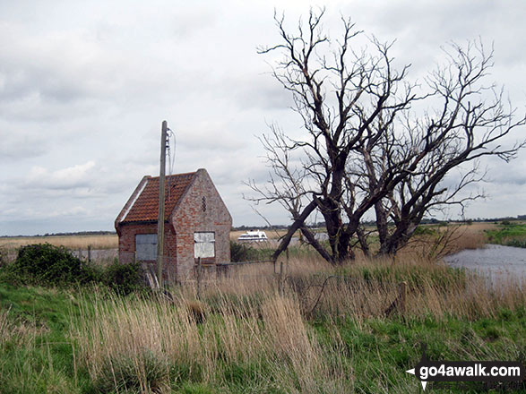 Walk nf117 The River Bure from South Walsham Broad (Pilson Green) - Hut on South Walsham Marshes on the banks of the River Bure