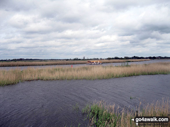 Walk nf117 The River Bure from South Walsham Broad (Pilson Green) - Pleasure craft on the River Bure