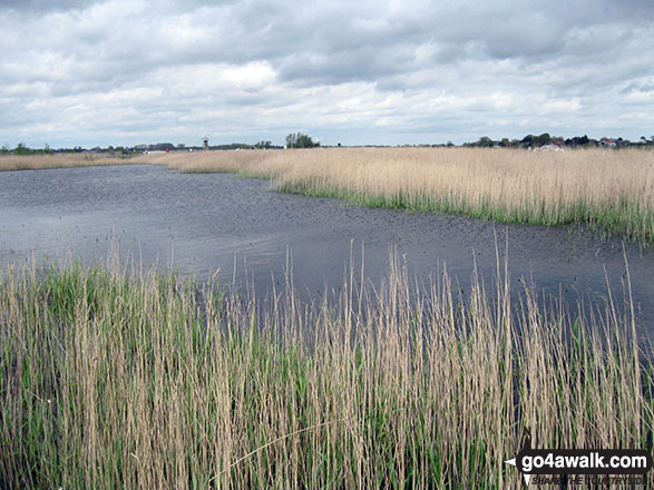 Walk nf117 The River Bure from South Walsham Broad (Pilson Green) - The River Bure