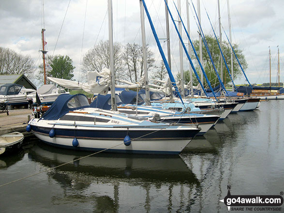 Walk nf117 The River Bure from South Walsham Broad (Pilson Green) - Upton Dyke Marina