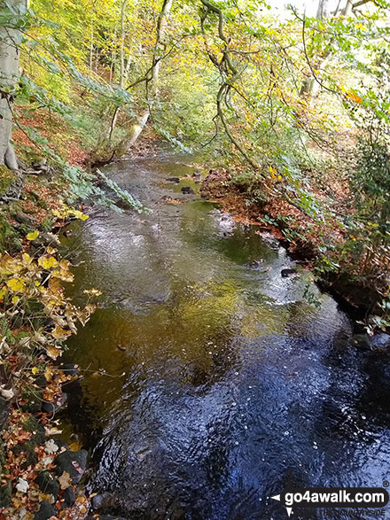 The outflow river from Strines Reservoir 