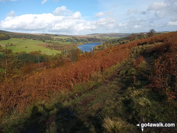 Walk sy104 Lodge Moor (Ughill Moors) from Strines Reservoir - Dale Dike Reservoir from Lee Bank