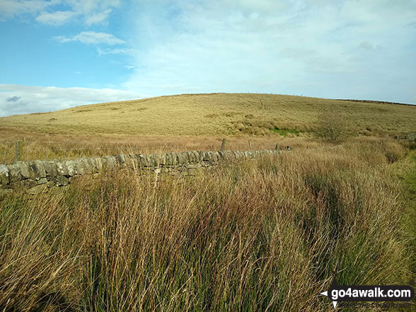 Lodge Moor (Ulgill Moors) 