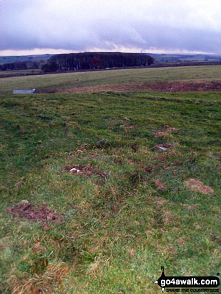 The view from Sough Top 