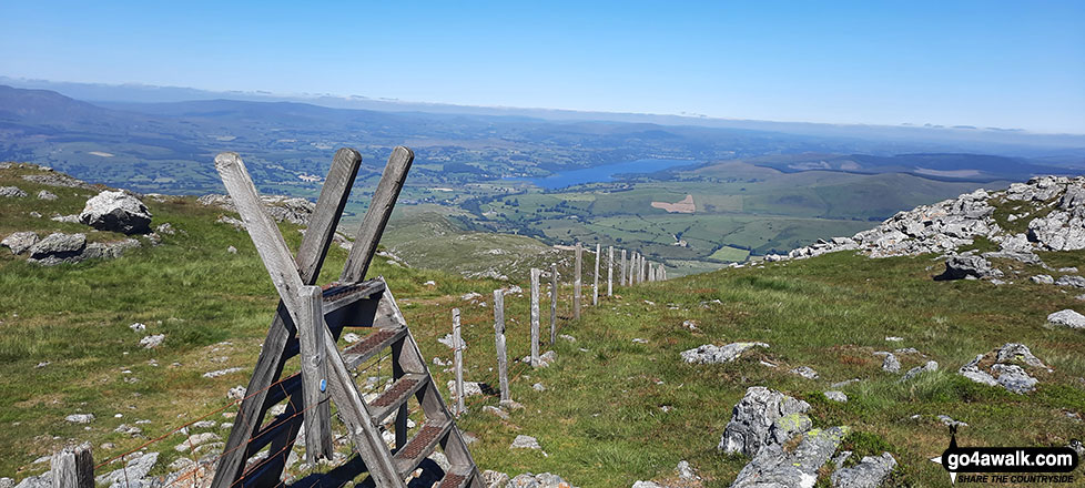 Walk gw146 Aran Fawddwy from Llanuwchllyn - Ladder stile on Aran Fawddwy