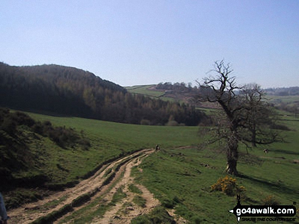 Walk d313 Winster, Youlgreave and Birchover from Darley Bridge - Limestone Way nr Bradford