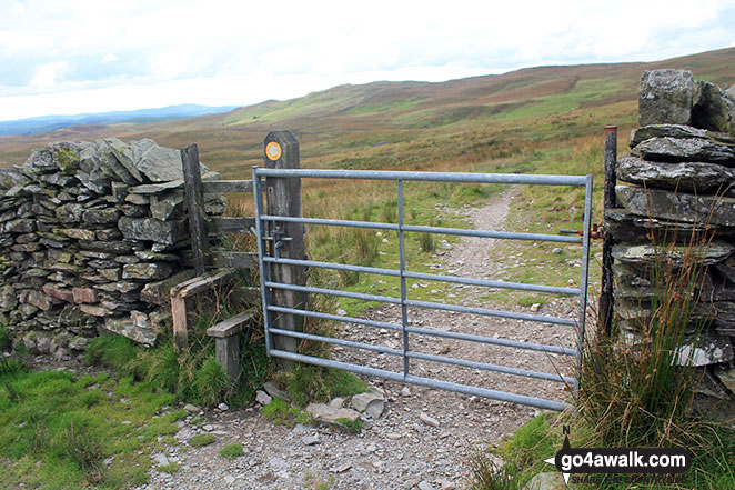 Gate and stile on Green Quarter Fell 