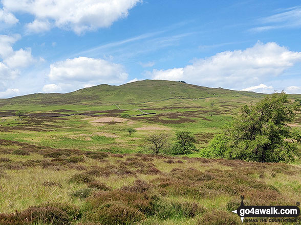 Walk c449 Sour Howes and Sallows from Kentmere - Capple Howe from Meadowplatts Plantation