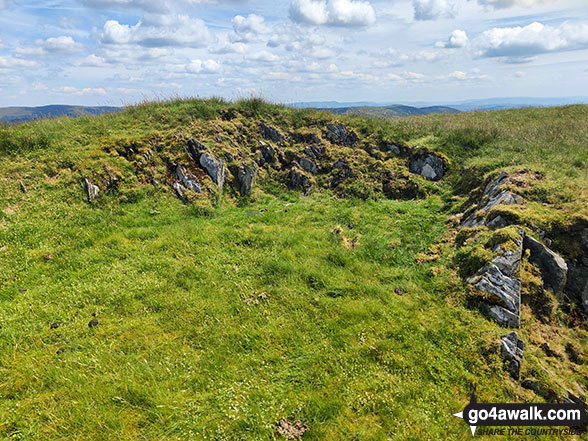 Walk c449 Sour Howes and Sallows from Kentmere - Capple Howe summit