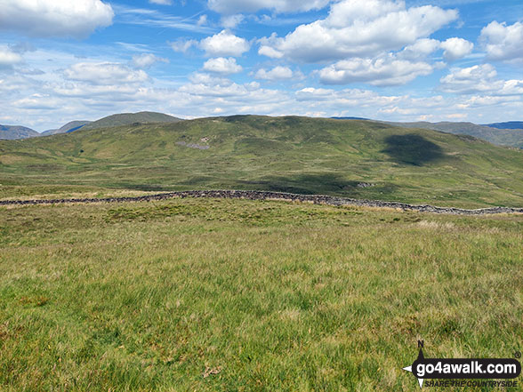 Sallows from the summit of Capple Howe