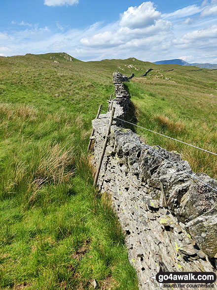 Walk c449 Sour Howes and Sallows from Kentmere - Approaching Sour Howes from Capple Howe