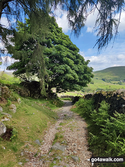 Walk c332 The Hagg Gill Round from Troutbeck - On the lower slopes of the Garburn Pass near Kentmere