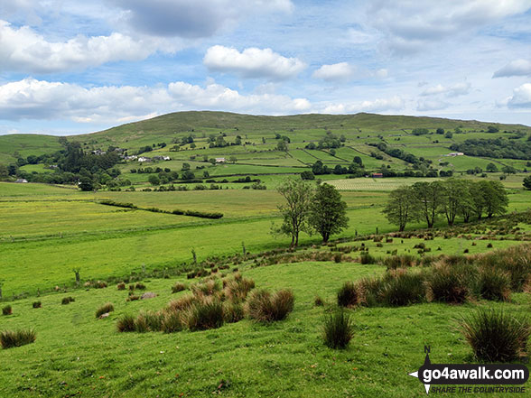 Walk c449 Sour Howes and Sallows from Kentmere - Hollow Moor (Green Quarter) and Brunt Knott (Potter Fell) from Hall Wood in the Kentmere Valley