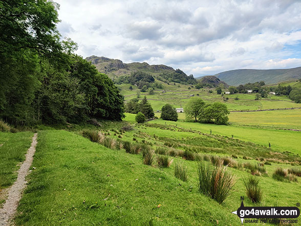 Entering Hall Wood in the Kentmere Valley 