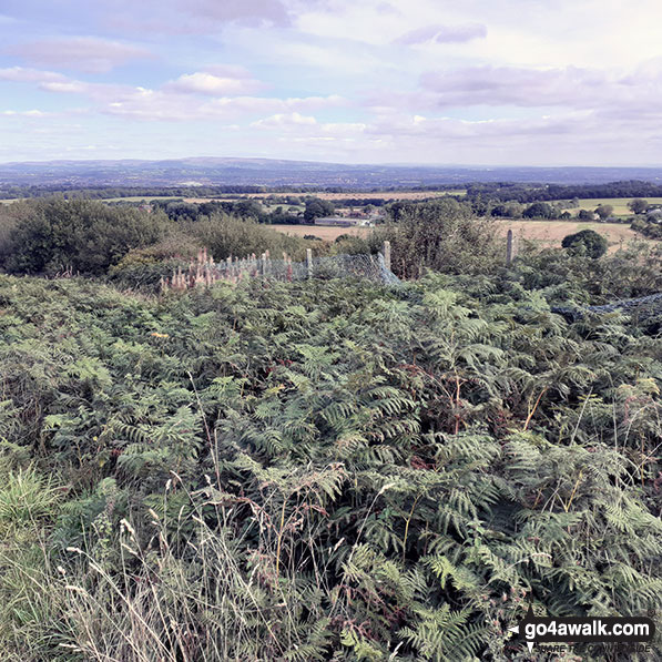 Walk me100 Billinge Hill from Billinge, Wigan - The view from Billinge Hill