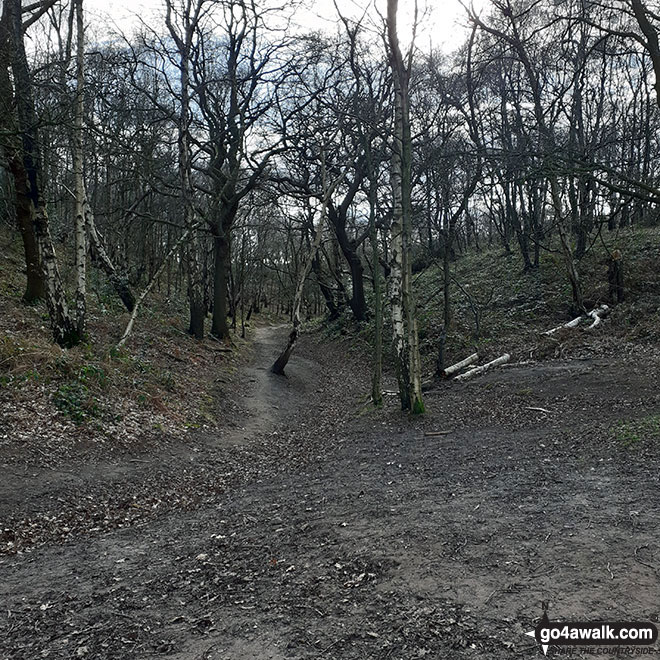 Walk ch110 Helsby Hill and The Sandstone Trail from Frodsham - Snidley Moor Wood, Helsby Hill National Trust area