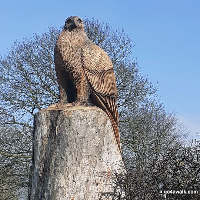 Walk ch110 Helsby Hill and The Sandstone Trail from Frodsham - Sculptured owl on the lanes outside Higher Walton