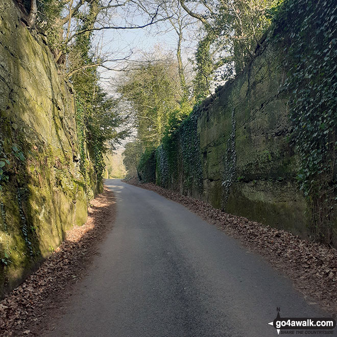 Walk ch132 The Lymm Heritage Trail - Firs Lane near Bellfield Farm