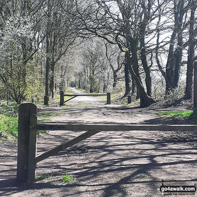 The Whitegate Way - a former railway line 