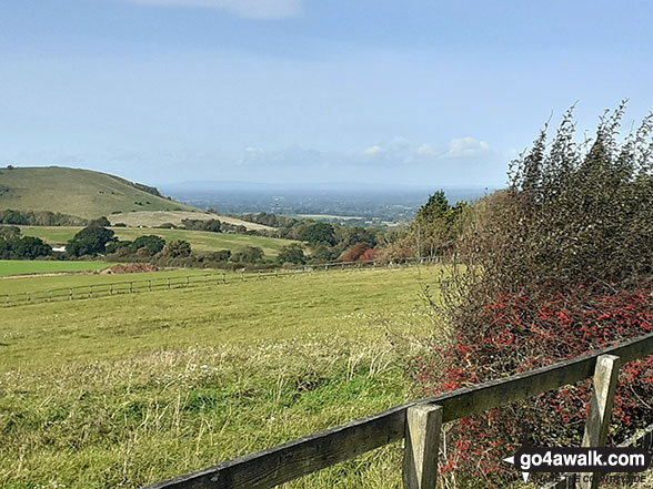 Walk ws100 Ditchling Beacon and Wolstonbury Hill from Clayton - Wolstonbury Hill and the view from The South Downs Way near The Jack and Jill Windmills above Clayton