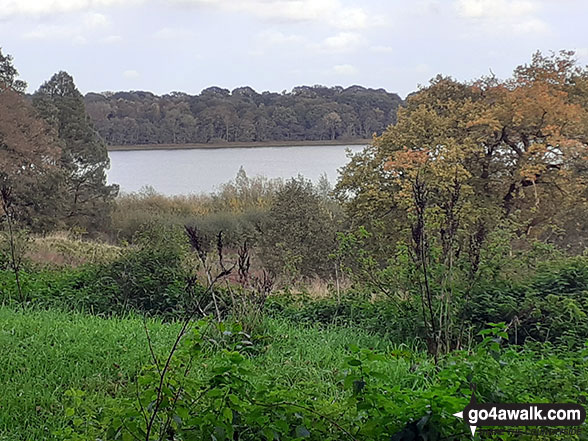 Walk ch121 Rostherne from Hoo Green - Rostherne Mere Nature Reserve