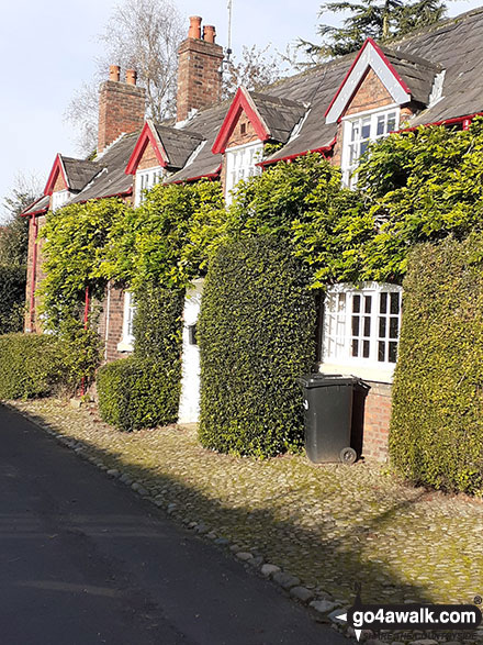 Walk ch121 Rostherne from Hoo Green - Estate Cottages, Rostherne