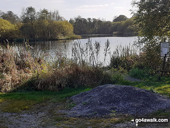 Walk ch121 Rostherne from Hoo Green - Cicely Mill Lake