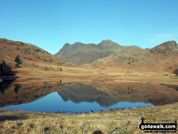 Walk c278 High Tove, Ullscarf and Great Crag from Watendlath - The Langdale Pikes reflected in Blea Tarn on a cold early morning.