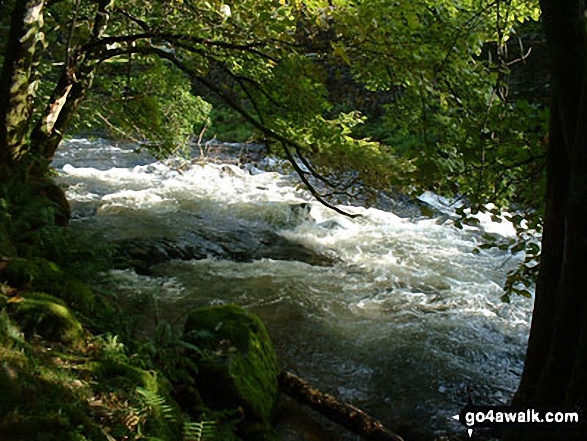 Walk c165 Little Langdale from Elterwater - Great Langdale Beck from The Cumbria Way near Elterwater