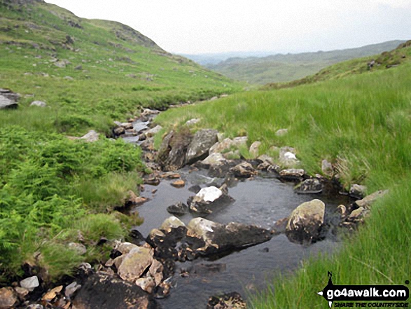 Afon Lledr below Moel Fleiddiau 